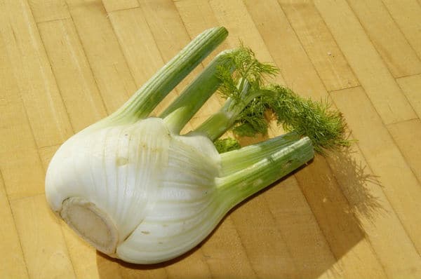 Fennel Benefits