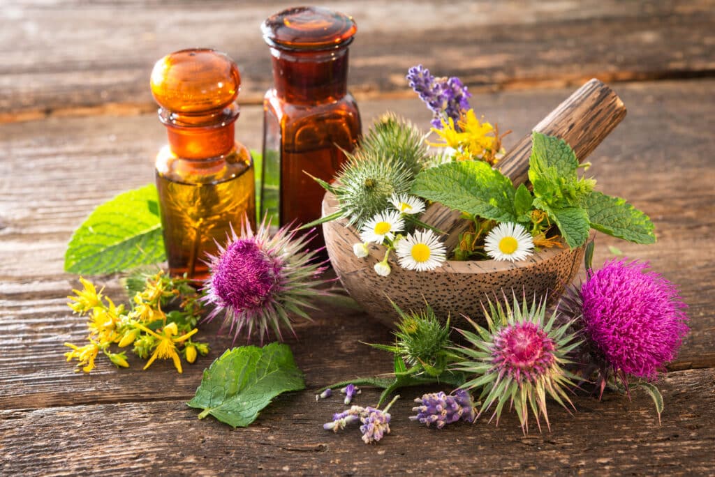 herbal remedies for menopause