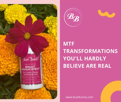 share on Facebook MTF transformations