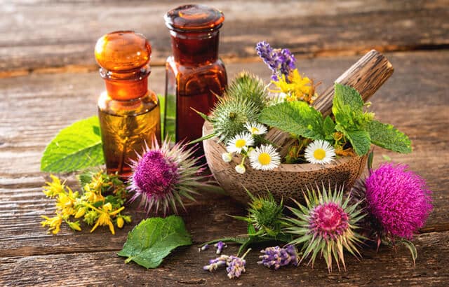 plants with different healing powers