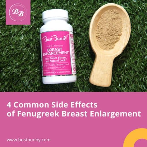 4 Side Effects Of Fenugreek Breast Enlargement Bust Bunny