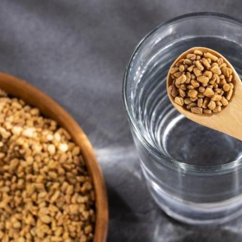 soaking fenugreek seeds in water