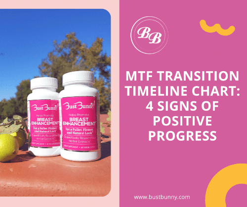 MTF transition timeline chart Facebook promo