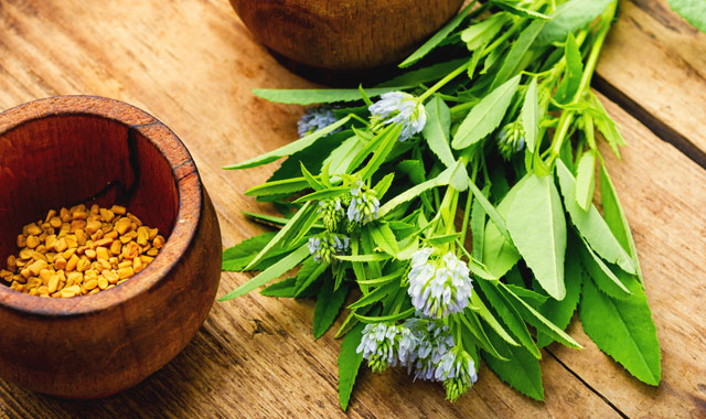 fenugreek seeds and leaves