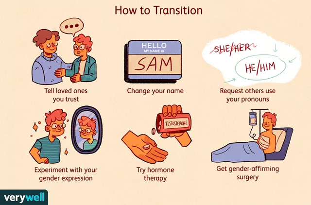 parts of gender transitioning illustrated