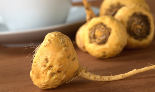 peruvian ginseng or maca