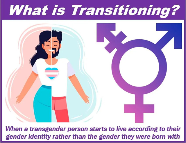 illustration of transitioning genders