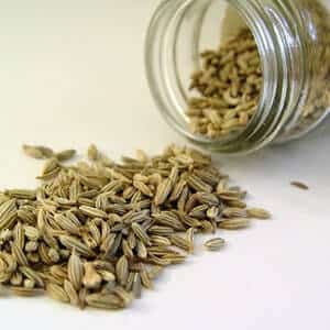 Fennel Seed Extract