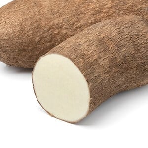 Wild Yam Root