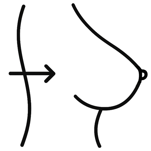 Step 2 Icon