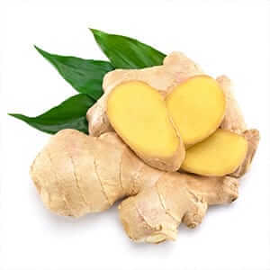 Ginger Root